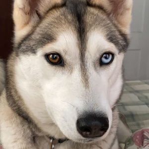 Meet your Posher, Aaron